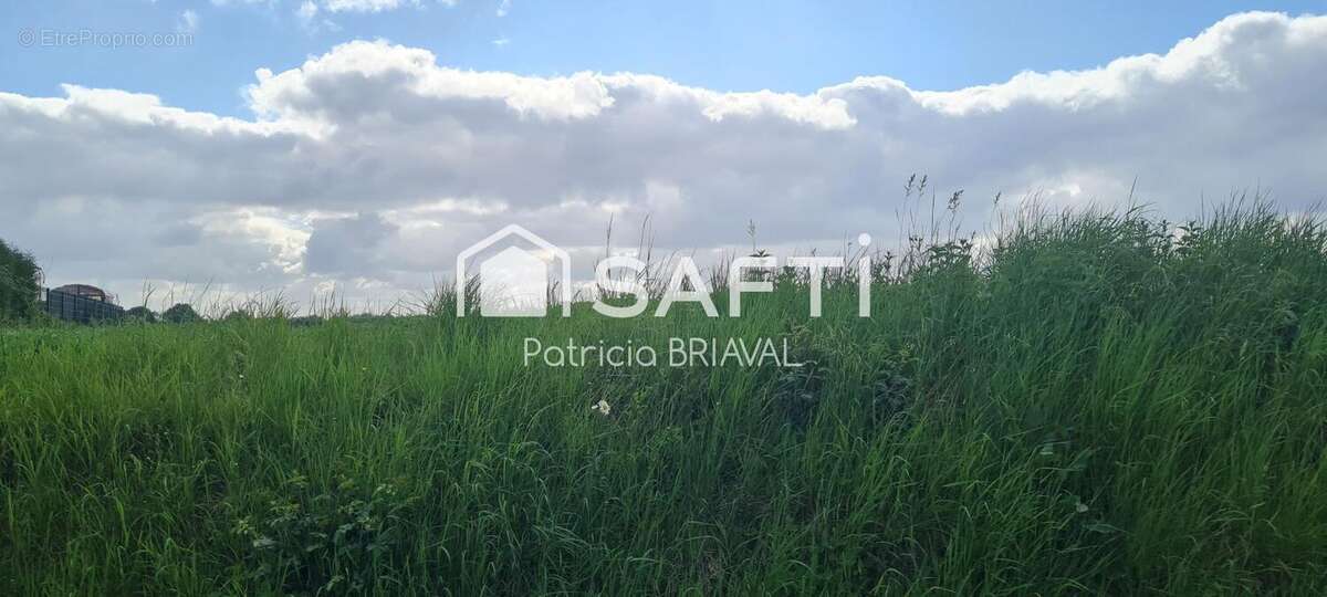 Photo 3 - Terrain à HERMAVILLE