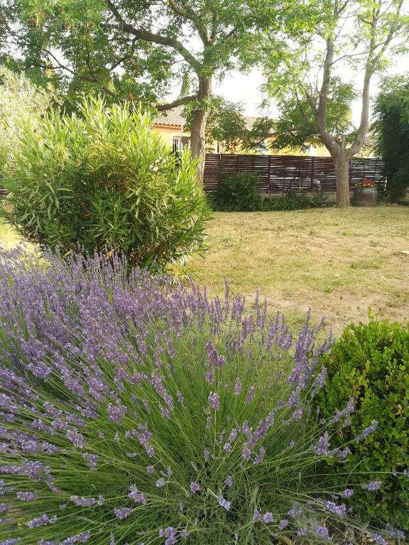 A 1,5 kms du centre ville-maison de plain-pied-3 chambres-piscine-520 m2 de terrain - photo 21