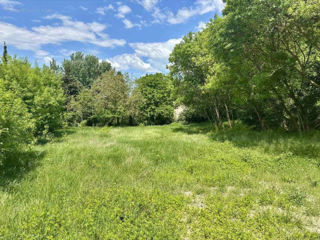 Terrain à COLONZELLE