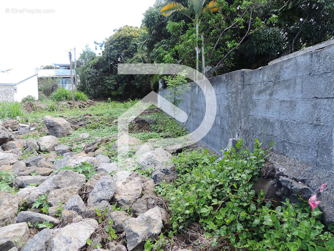 Terrain à LE TAMPON