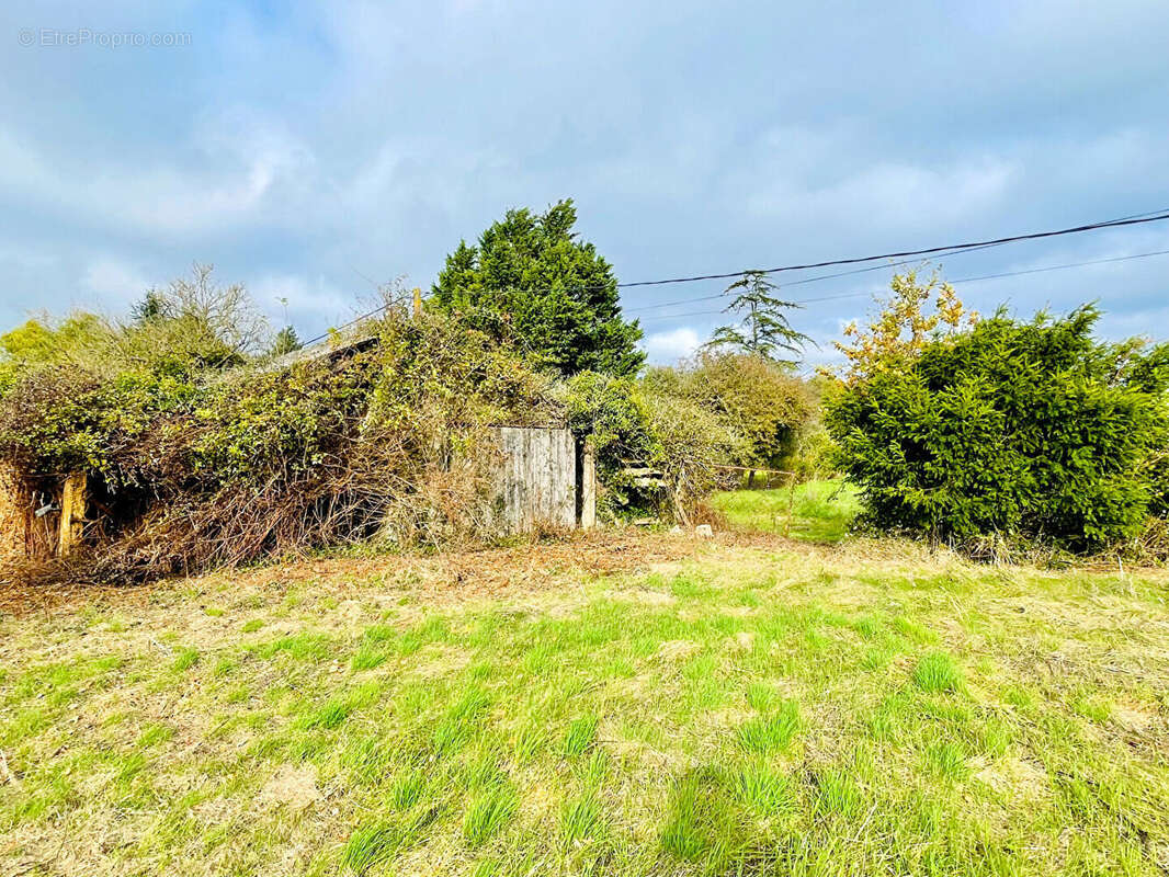 Maison à LAVAUSSEAU