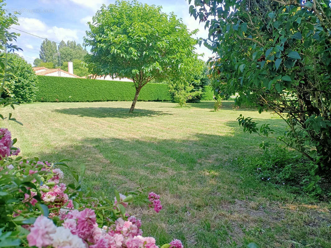 Maison à LUSSANT