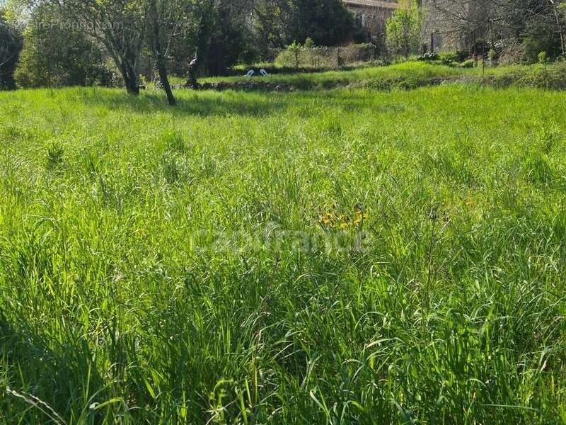 Terrain à vendre  CASSAGNOLES (30) - photo 2