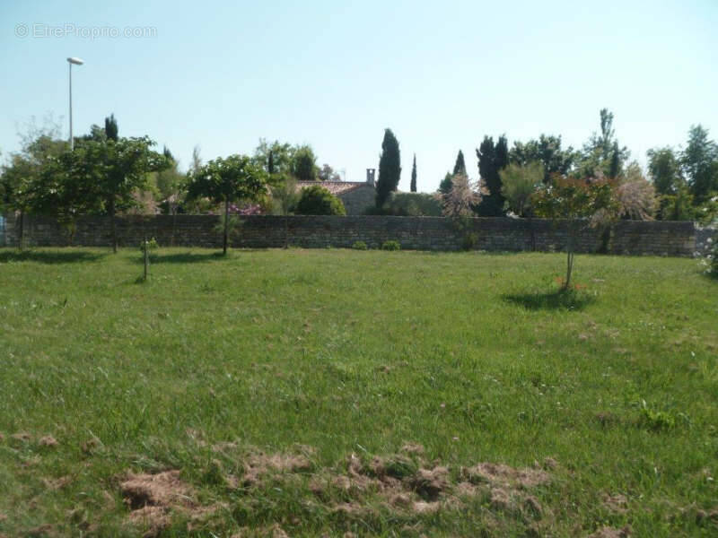 Terrain à DOLUS-D&#039;OLERON