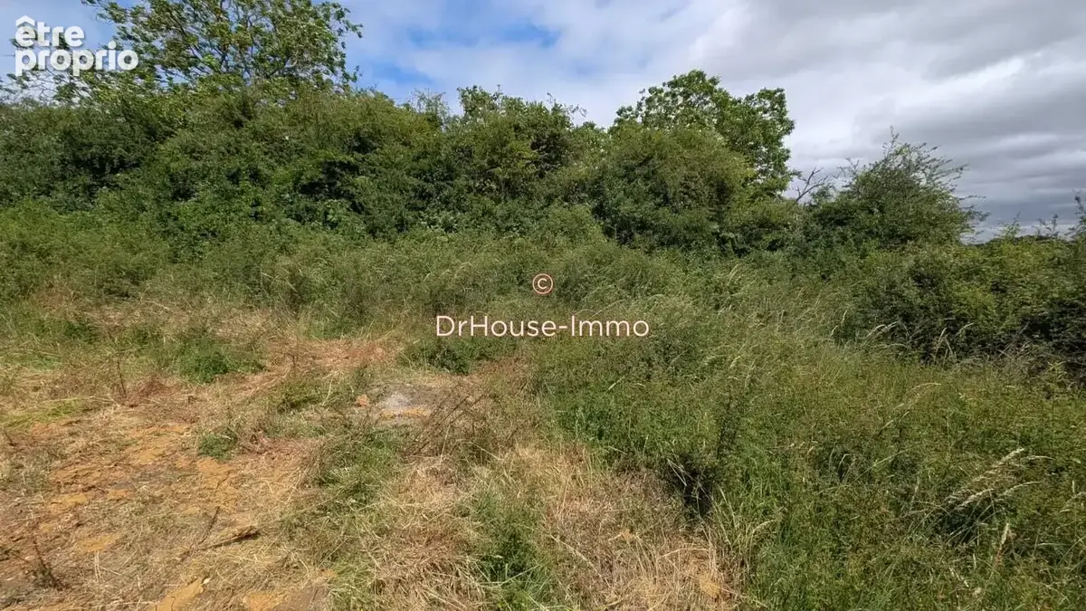 Terrain 1 295 m² à vendre à Beruges (86190) - photo 15