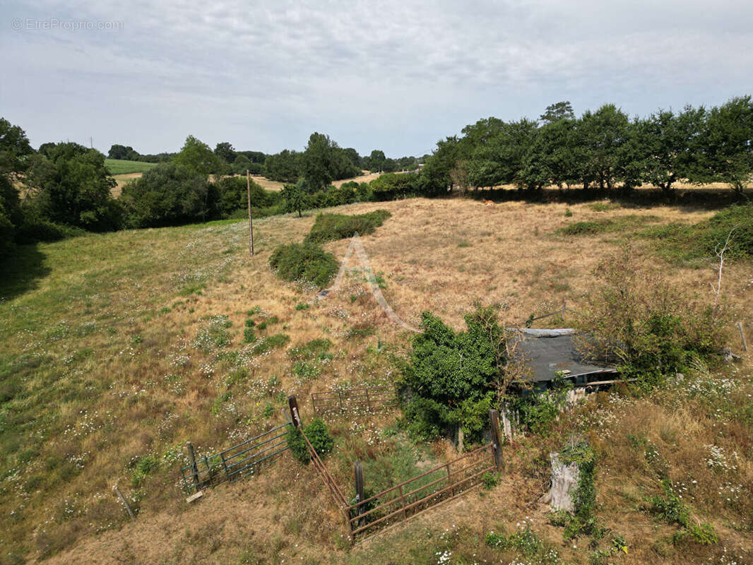 Terrain Loigne Sur Mayenne 23946 m2 - photo 6
