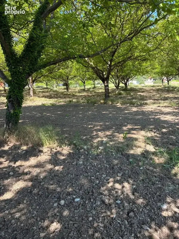 Terrain à batir 4200m2 à diviser - photo 2