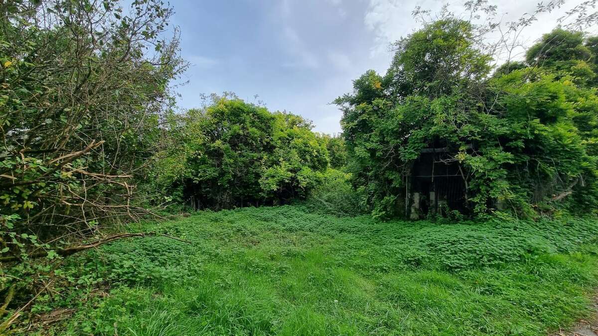 Maison à SAINT-FELIX-DE-VILLADEIX