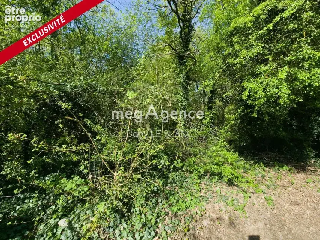 Terrain de loisirs boisé — 3174 m² - photo 4
