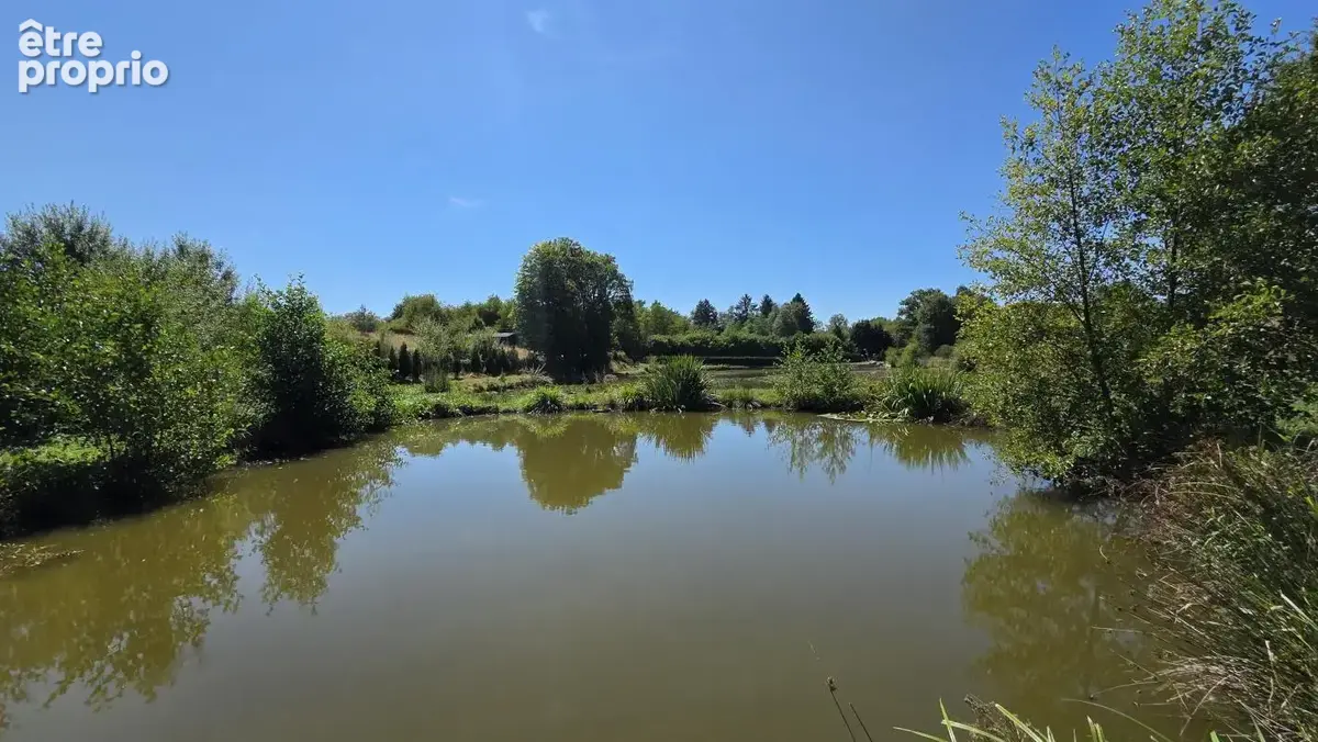 Etang de 9000 m² situé en pleine nature à Anor - photo 4