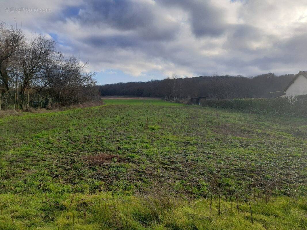 Terrain à VAYRES-SUR-ESSONNE