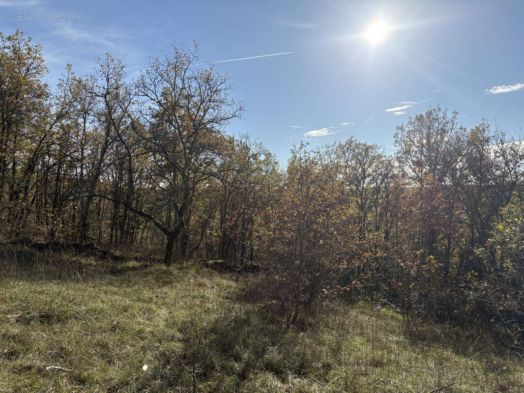 Terrain à CHASTEAUX