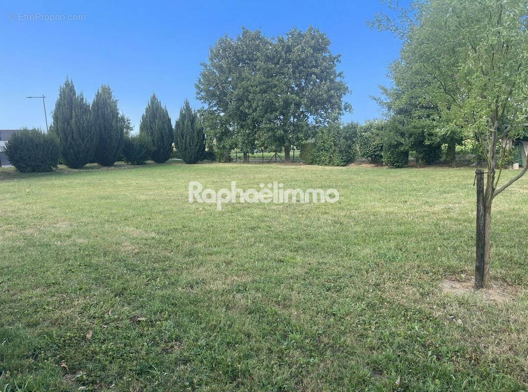 Terrain à SCHNERSHEIM