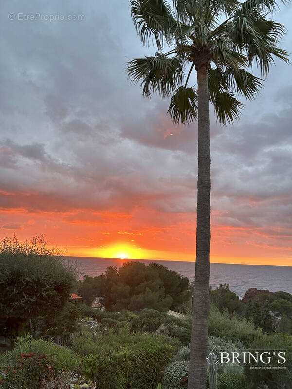 Vue terrasse - Maison à SAINT-RAPHAEL