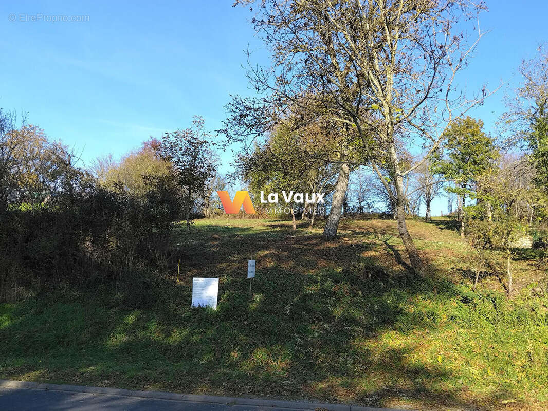 Terrain à VANDELEVILLE