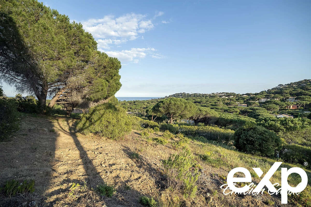Terrain à SAINTE-MAXIME