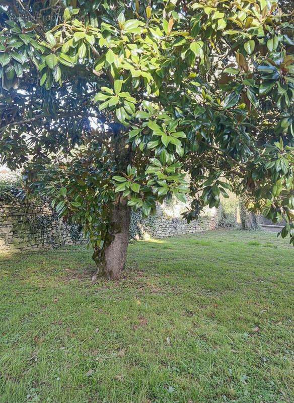 maison individuelle avec atelier - photo 4