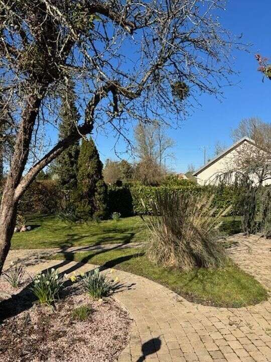Maison à CHATENAY-SUR-SEINE