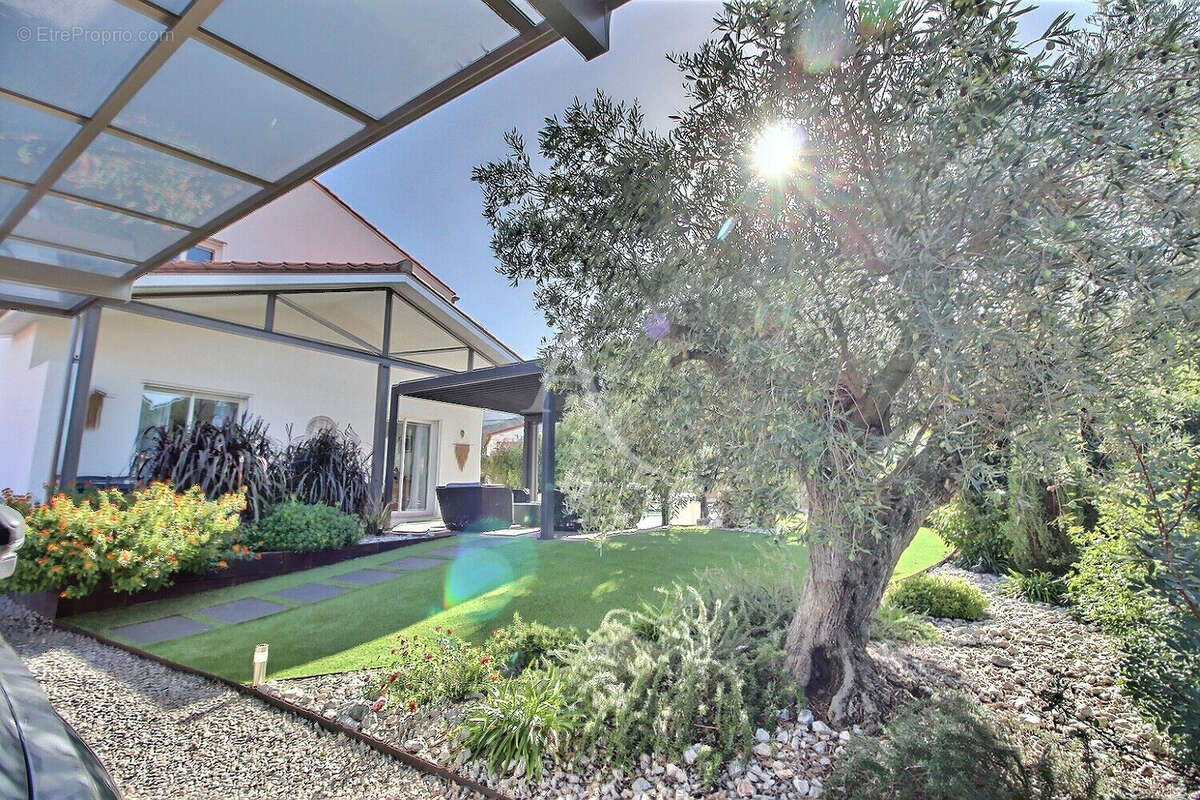 Maison à MONTESQUIEU-DES-ALBERES