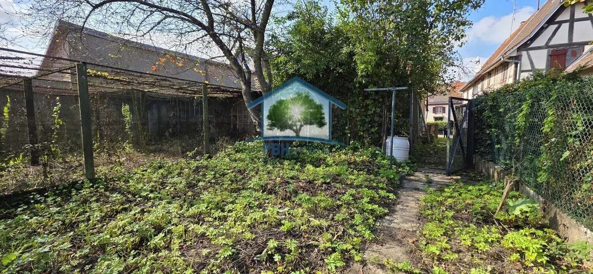 Maison à DANNEMARIE