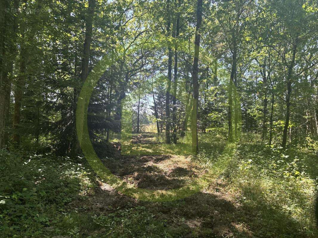 Maison à LA FERTE-SAINT-AUBIN