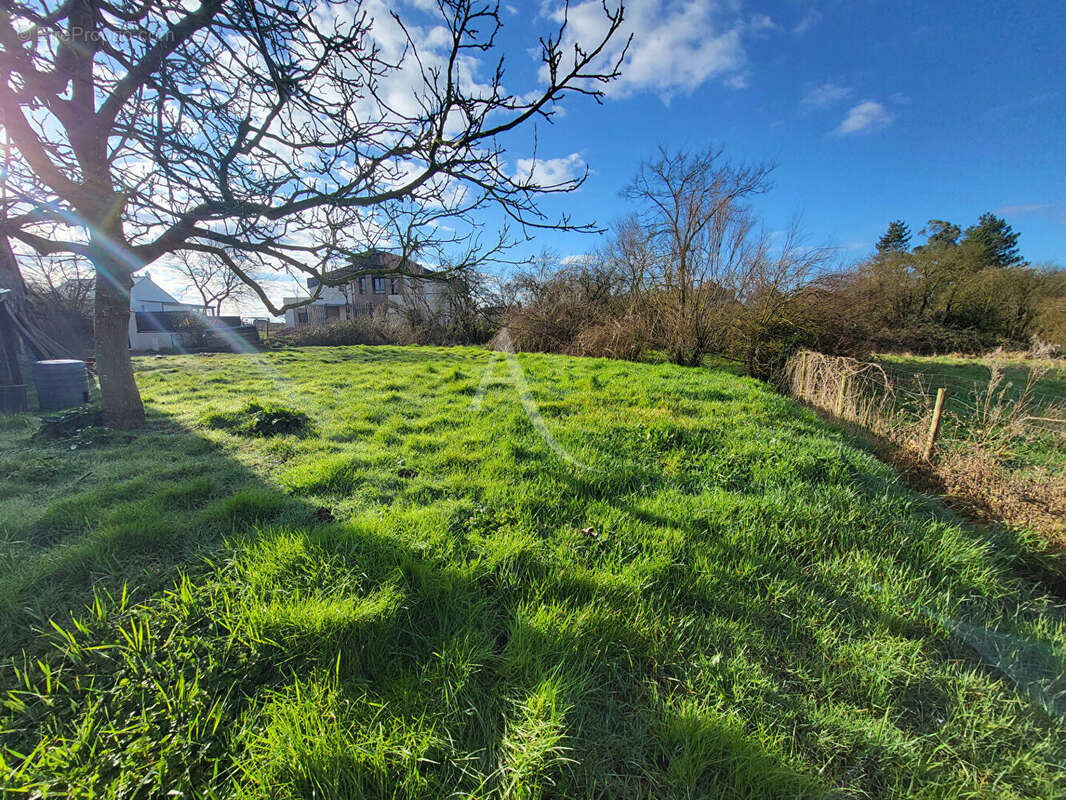 Terrain à THOUARCE