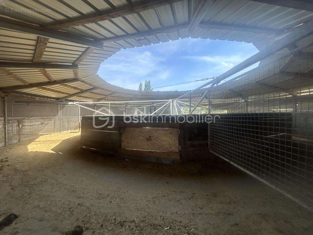 Maison à BOIS-GRENIER