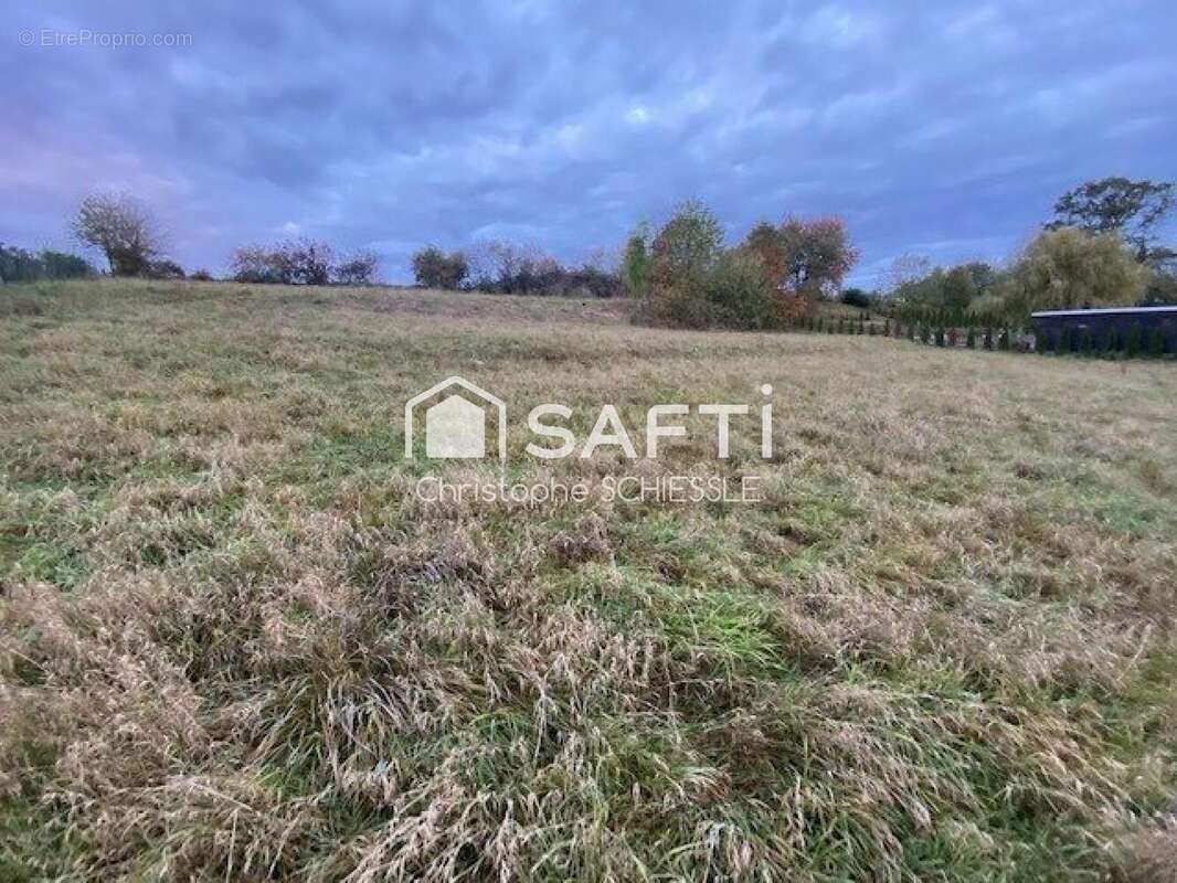 Terrain 1500 m² à Faverois  - photo 3