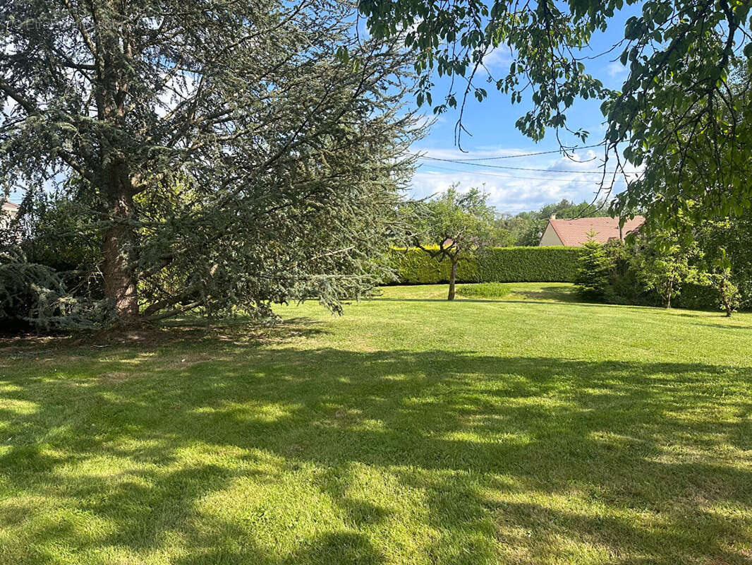 Terrain à MAISONCELLES-EN-BRIE