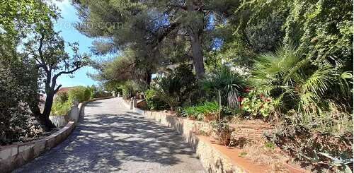 La seyne sur mer - photo 2