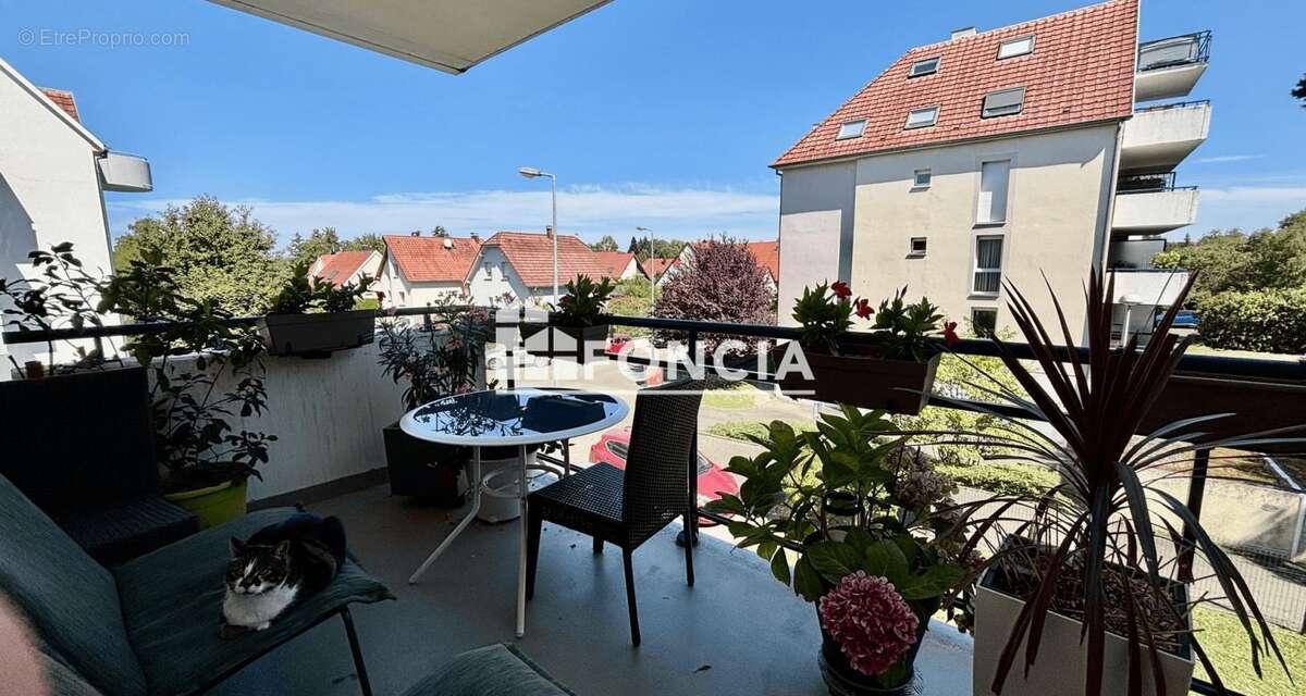 Appartement à HAGUENAU