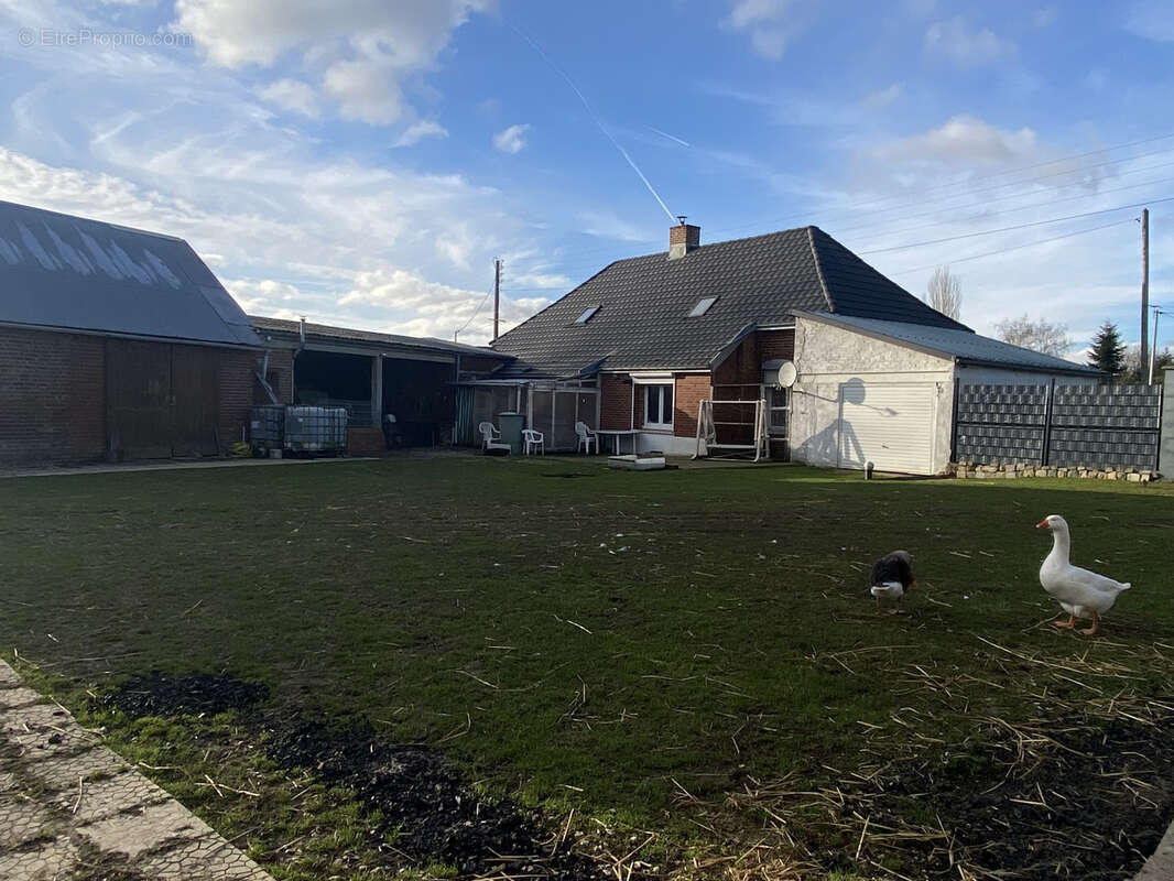 Maison à AVESNES-LE-COMTE