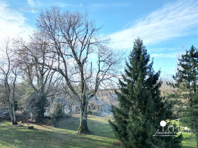 Maison à LES MARTYS