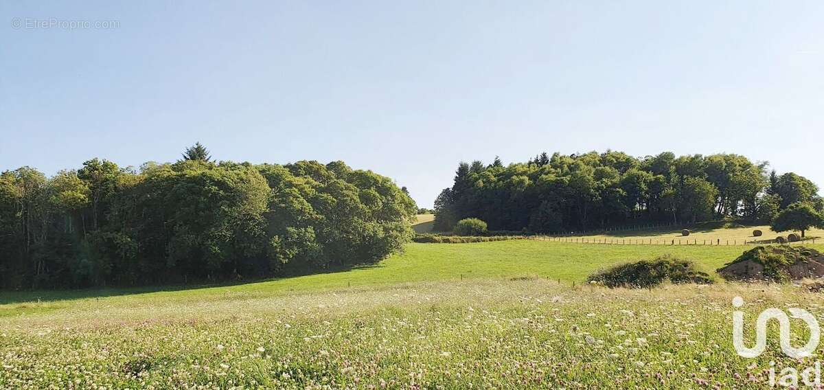 Photo 3 - Terrain à PALAZINGES