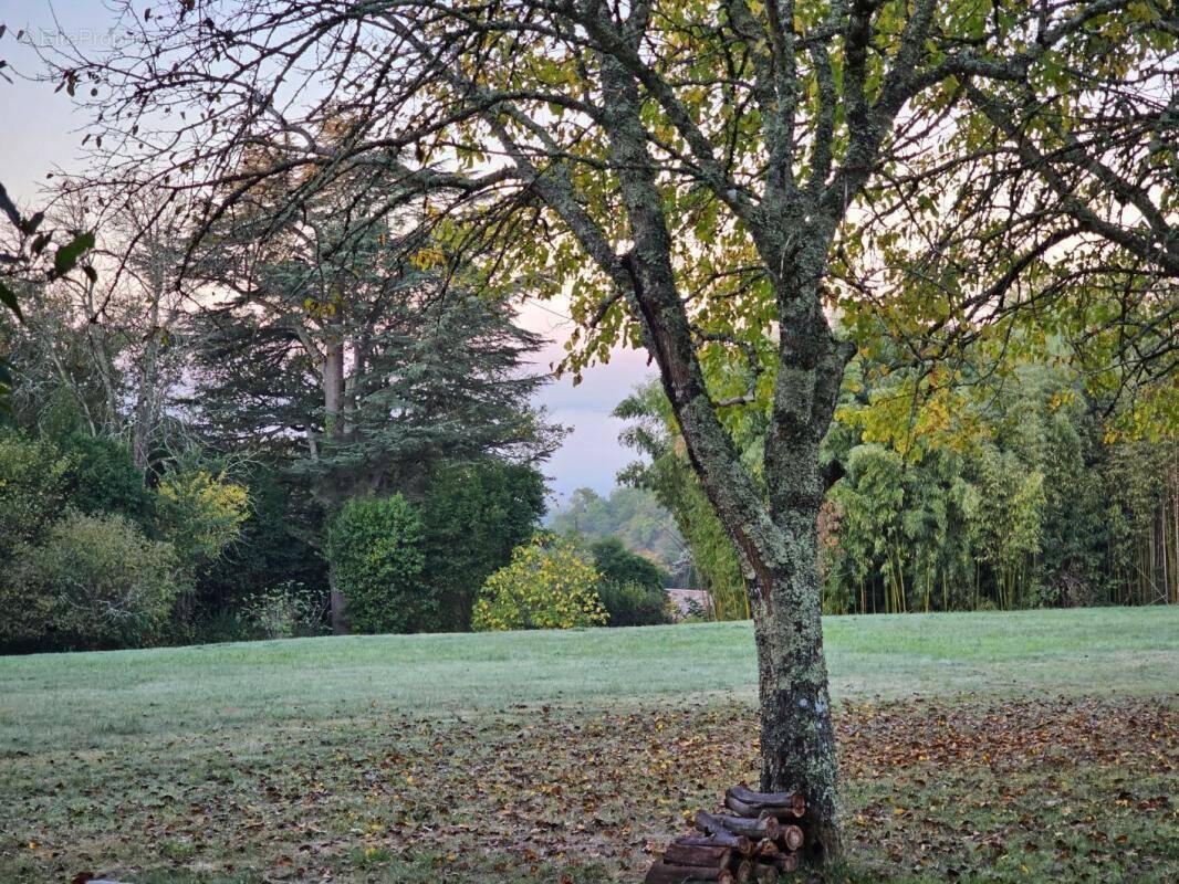 Terrain à LOUPES