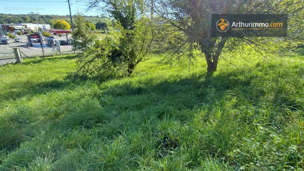 Terrain à LAROQUE-D&#039;OLMES