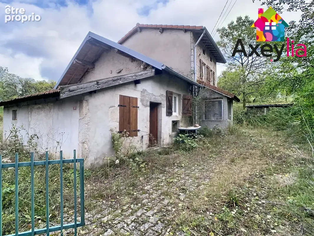 A vendre- saint-nicolas-des-biefs- maison avec studio attenant et garage - photo 1