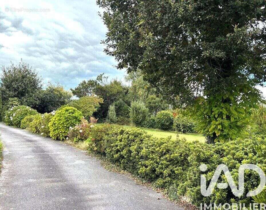 Photo 3 - Terrain à SAINT-EVARZEC