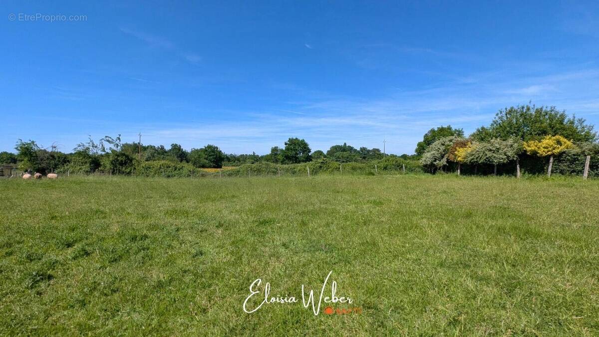 Photo 1 - Terrain à JARZE