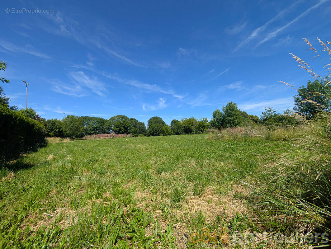 Terrain à MOYRAZES