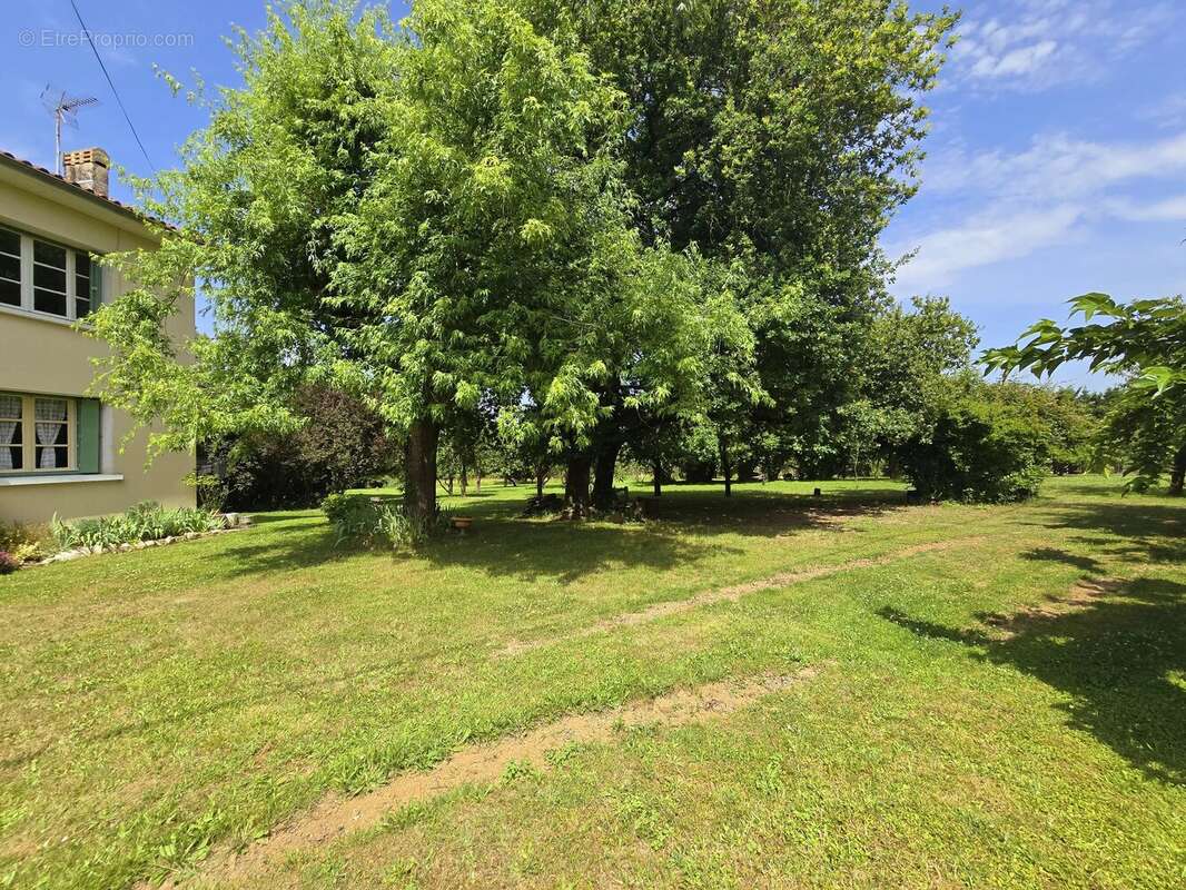 Propriété avec 2 maisons , dépendances et 1 hectare de terrain - photo 19