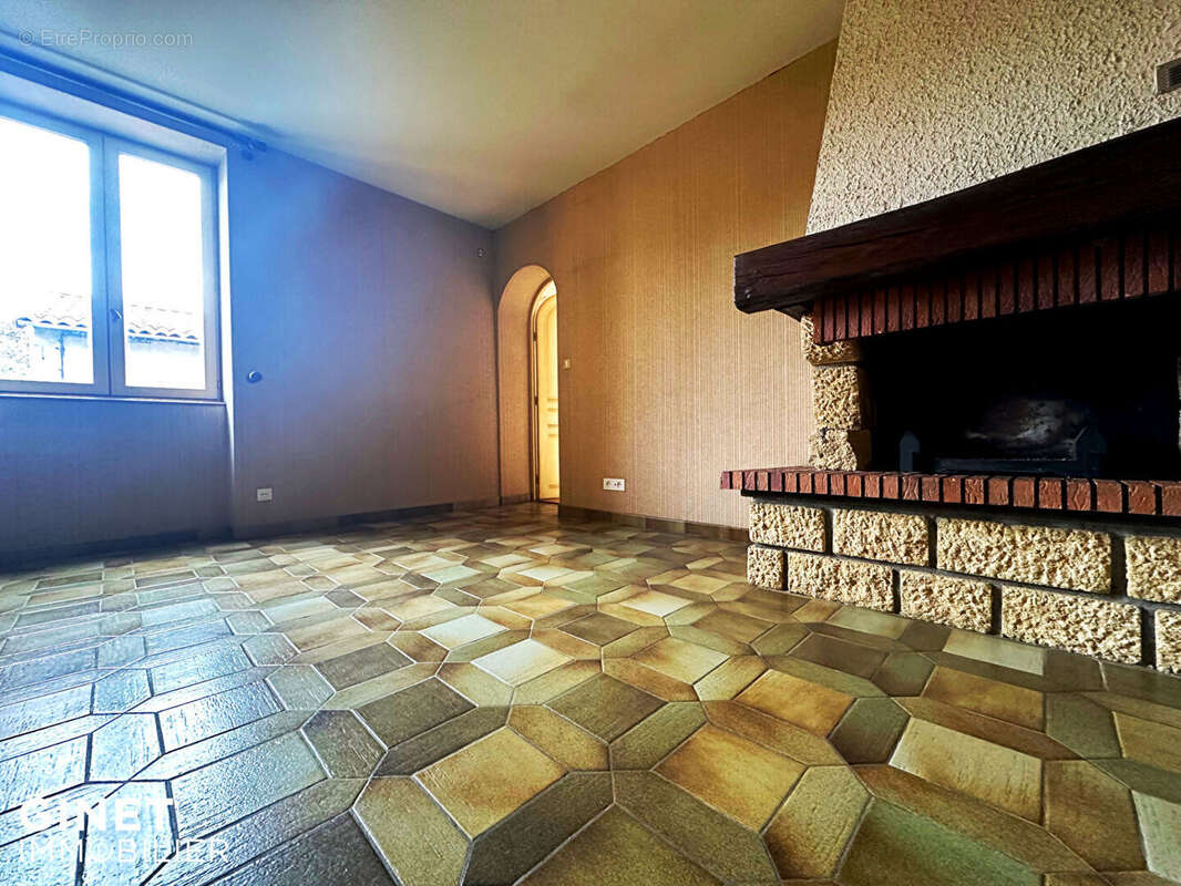 Maison Briennon 7 pièce(s) 216.6 m2 - photo 3