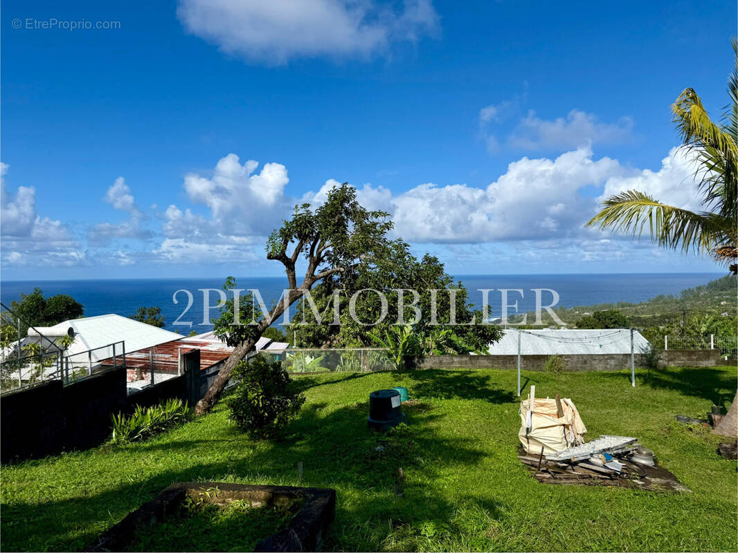 Terrain à SAINT-JOSEPH