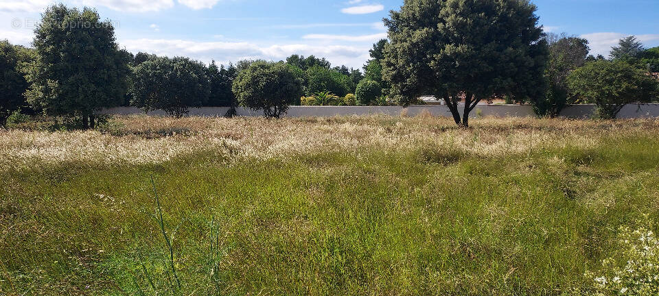 Terrain à AVIGNON