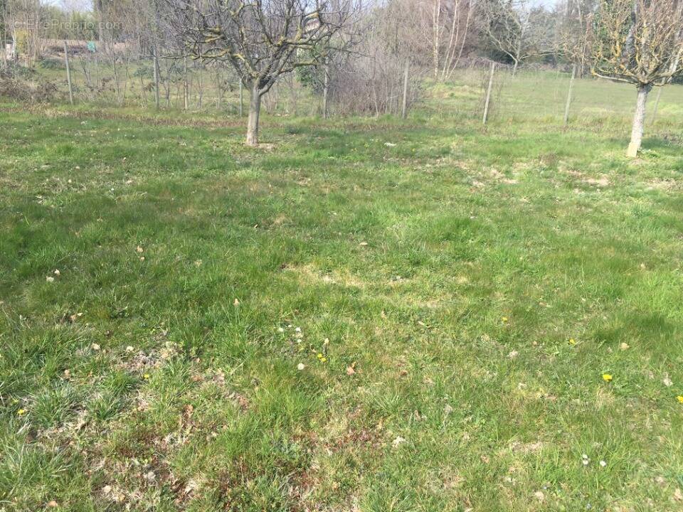 Terrain à PRESSIAT