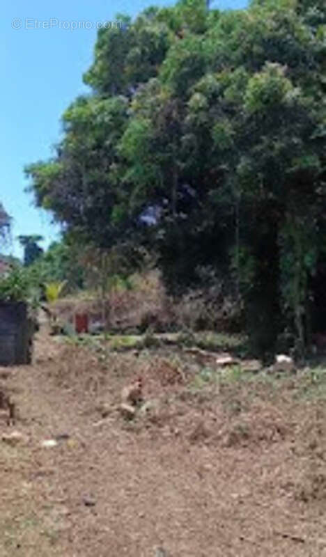 Maison à REMIRE-MONTJOLY