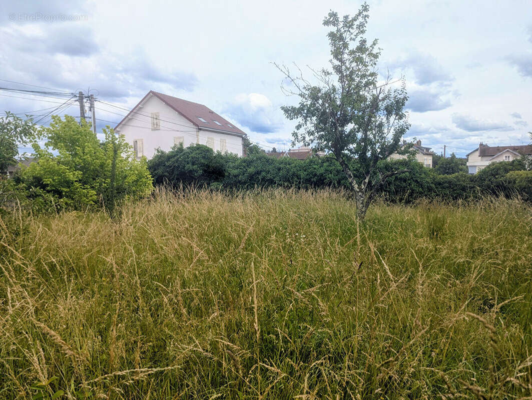Terrain à DOLE