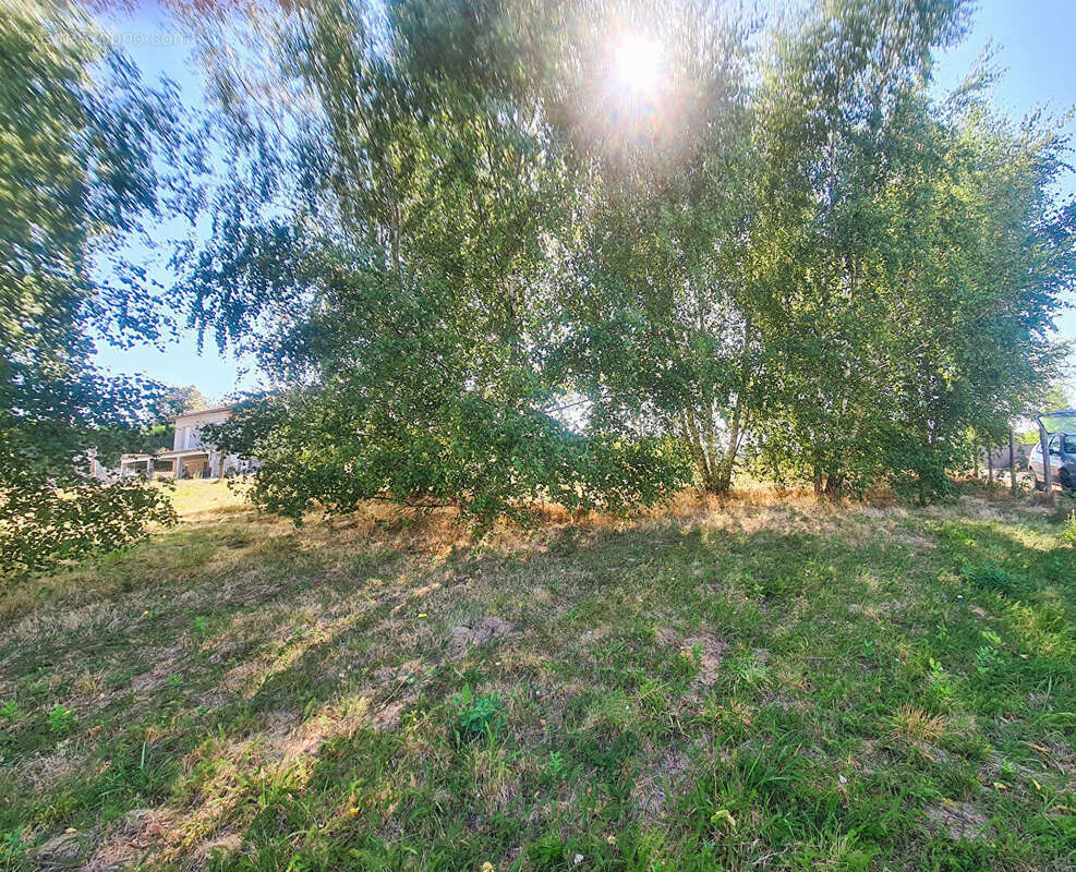 Terrain à BUSSIERE-GALANT