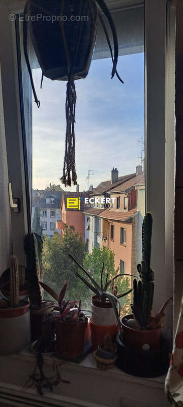 Appartement à STRASBOURG