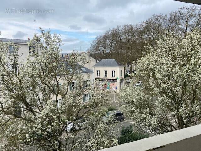 Appartement à ANGERS